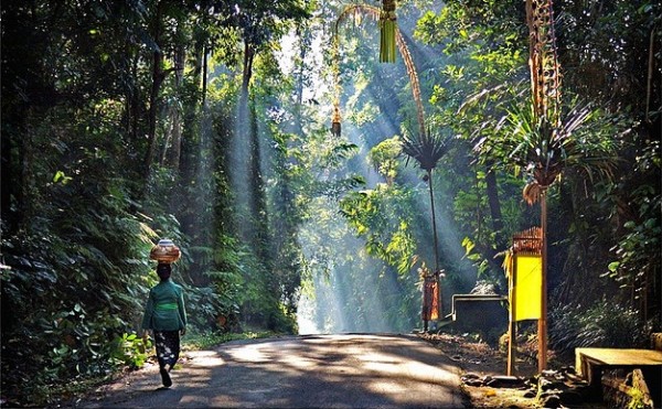 Những điều ghi nhớ "đừng làm" khi du lịch Bali