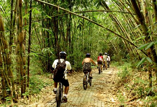 Thuê một chiếc xe đạp khám phá Bali cũng là ý tưởng tuyệt vời