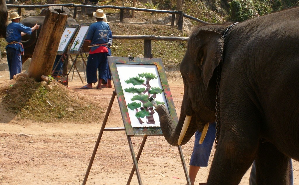 voi vẽ tranh Chiang mai1