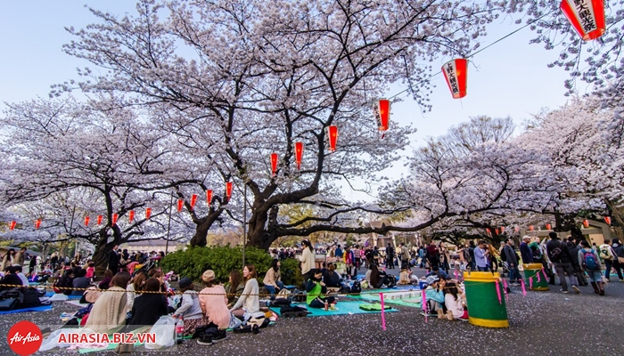 Lễ hội hoa anh đào Hanami